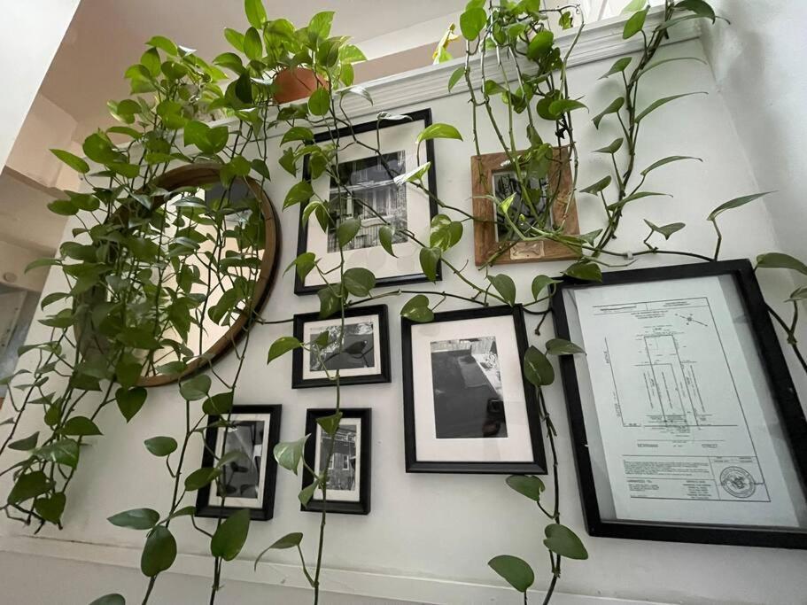 Apartamento Derive Stays - Affordable Brooklyn Apt. W/ Balcony Nova York